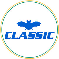 دزدگیر کلاسیک